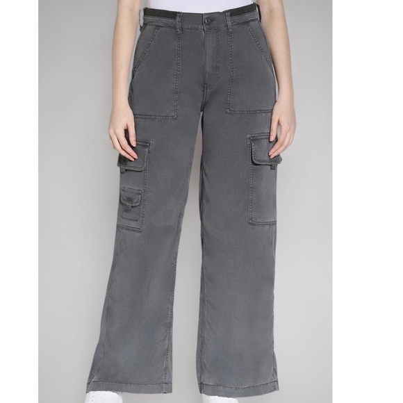 American Eagle Outfitters Pants - American Eagle Outfitters Gray Wide Leg Cargo Pants